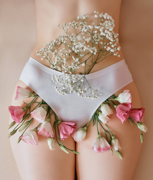 Λουλούδια βγαλμένα από λευκά βαμβακερά εσώρουχα. τριανταφυλλιά ροζ και λευκά τριαντάφυλλα κρυφοκοιτάζουν κάτω από τη γραμμή εσωρούχων στην περιοχή του μπικίνι - Φωτογραφία, εικόνα