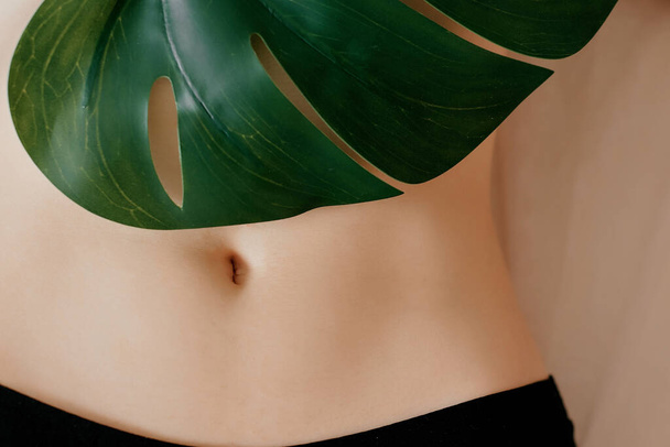 bare stomach with the navel with green leaf of monstera - Foto, Imagem