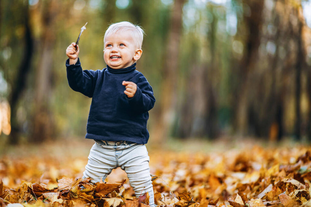 Little cute baby boy have fun outdoors in the park in autumn time - Fotoğraf, Görsel