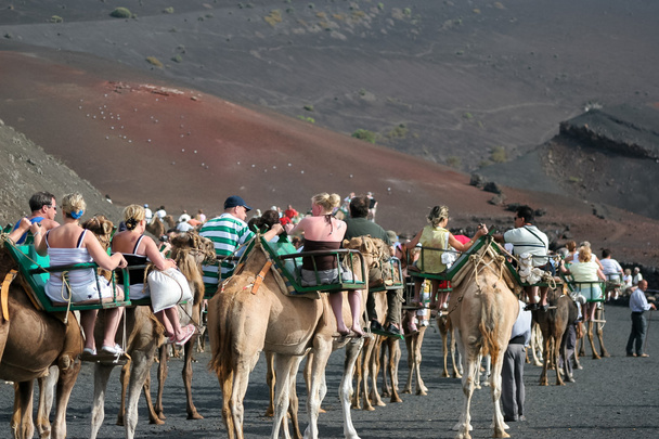 Caravane de chameaux portant des touristes le long d'une route bien foulée
 - Photo, image