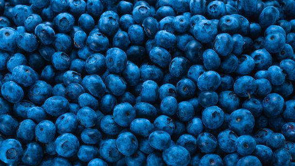 Fresh blueberry background. Texture blueberry berries close up. - Photo, Image