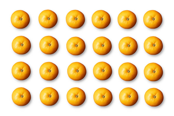 Fruit pattern on white background. Orange, Clementine, Tangerine. - Fotoğraf, Görsel