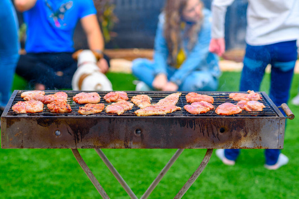 Diner, barbecue op de camping. Close-up van kipfilet op een grill. Op de achtergrond een groep vrienden spelen met hond. - Foto, afbeelding
