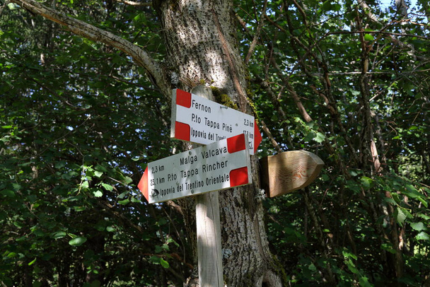 Indicaciones alpinas sobre señales en los bosques de los Alpes - Foto, imagen