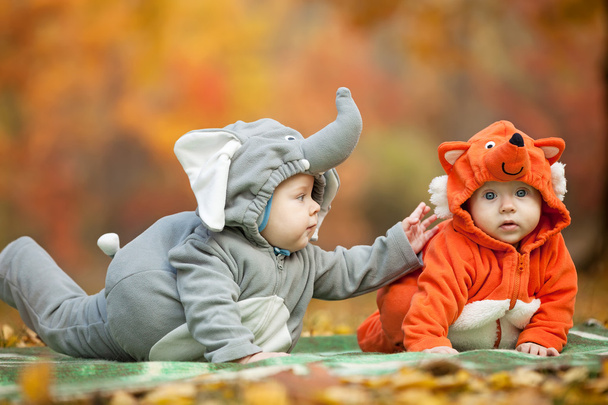 公園で動物の衣装に身を包んだ 2 人の赤ちゃんの男の子 - 写真・画像