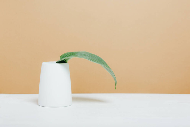 Leaf of the plant in a vase - Zdjęcie, obraz
