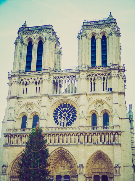Retro look Notre Dame Pariisi
 - Valokuva, kuva