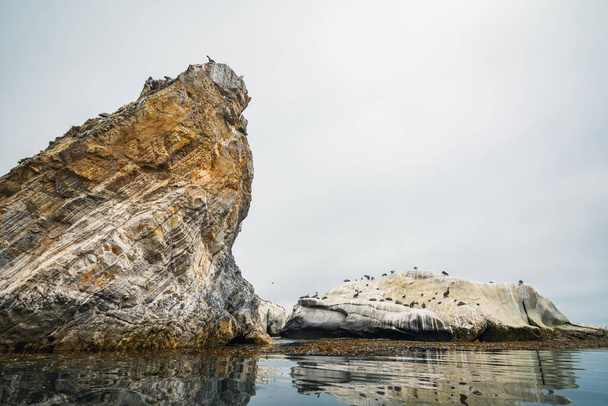 Grandes rochas no oceano e rebanho de pássaros, Califórnia
 - Foto, Imagem