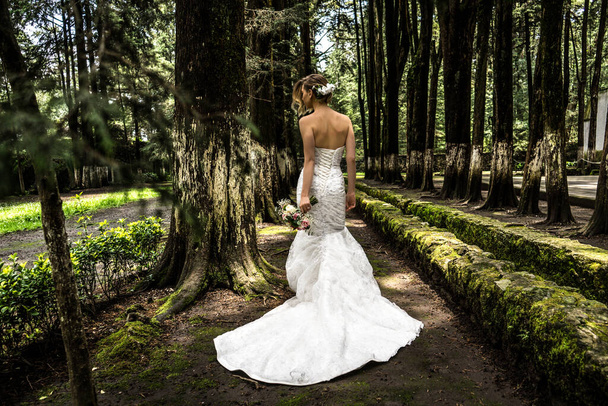 Beautiful bride with a wedding dress in the forest - Фото, зображення