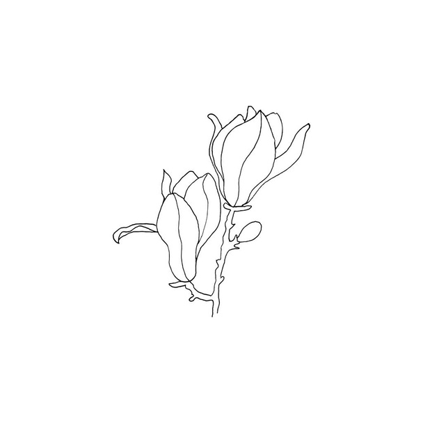 Proste i czyste strony rysowane kwiatowe. Ilustracja botaniczna w stylu szkicu. Świetne na zaproszenie, kartki okolicznościowe, opakowania, opakowanie, itp..  - Wektor, obraz