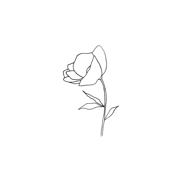 Egyszerű és tiszta kézzel rajzolt virágos. Sketch stílusú botanikai illusztráció. Nagy meghívó, üdvözlőlap, csomagok, csomagolás, stb..  - Vektor, kép