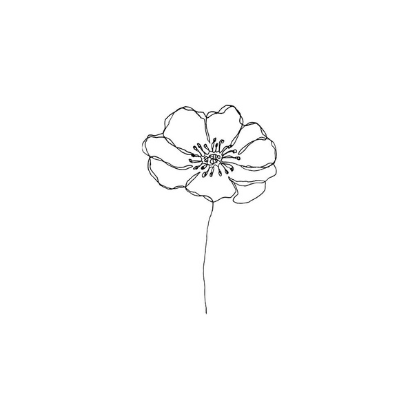 Simple and clean hand drawn floral. Sketch style botanical illustration. Great for invitation, greeting card, packages, wrapping, etc.  - Vecteur, image