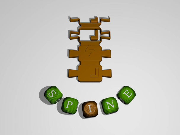 3D-Darstellung von SPINE mit Icon an der Wand und Text, angeordnet durch metallische kubische Buchstaben auf einem Spiegelboden für Konzeptbedeutung und Diashow-Präsentation. Abbildung und zurück - Foto, Bild