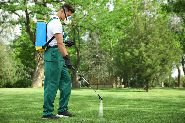 Worker spraying pesticide onto green lawn outdoors. Pest control - Valokuva, kuva