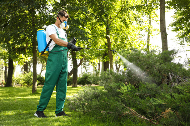 Worker spraying pesticide onto green bush outdoors. Pest control - Fotografie, Obrázek