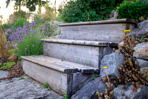 Időjárásos, fából készült kerti lépcsők egy nyaraló nyaralótelken, több növényt mutatva egy parkosított ösvényen. A béke, a haladás, a nyugalom szimbóluma, vagy egy példa az újrahasznosított fa projektekre. - Fotó, kép