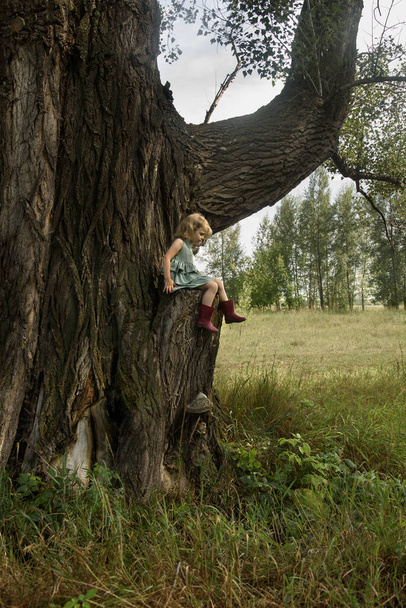 Little girl sitting on a very big tree - Valokuva, kuva