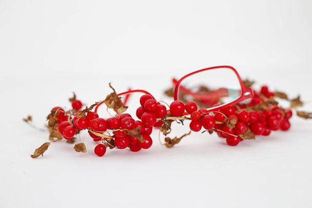 Redberry sobre un fondo blanco - Foto, imagen