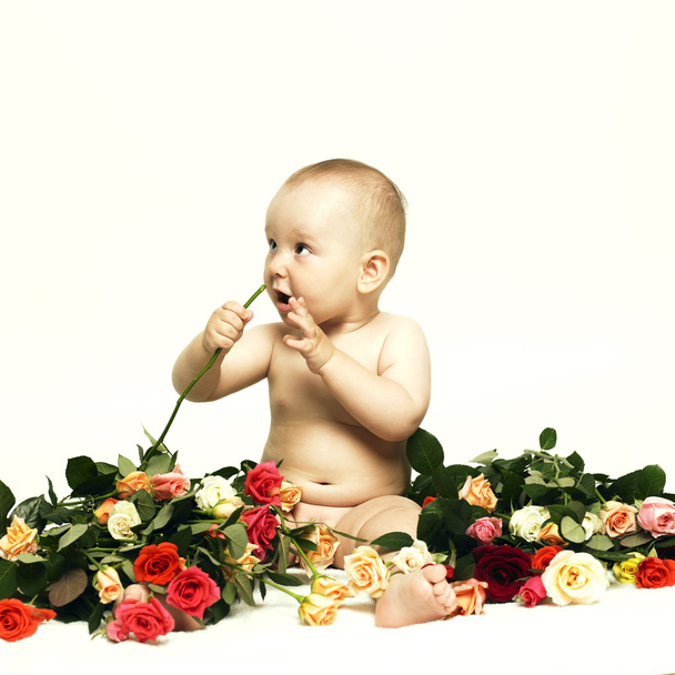 Baby and roses - Fotografie, Obrázek