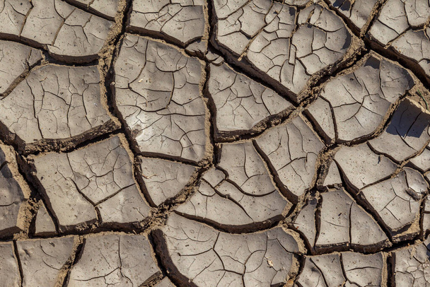 Dry deep cracks of the desert. World water scarcity on the planet. Global warming and greenhouse effect concept. Drought cracked earth climate change - Photo, Image