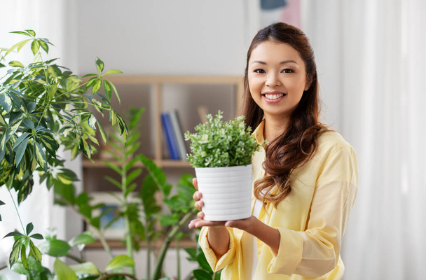 happy asian woman with flower in pot at home - Foto, Imagen