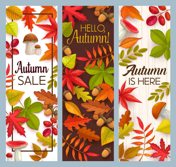 Ahoj Podzim a podzim sezónní prodejní vektorové bannery s padlým listím a houbami. Javor, dub, kaštan a listí jeřábu, lesní hřib, russula a žaludy, vítejte na podzim propagační karty design set - Vektor, obrázek