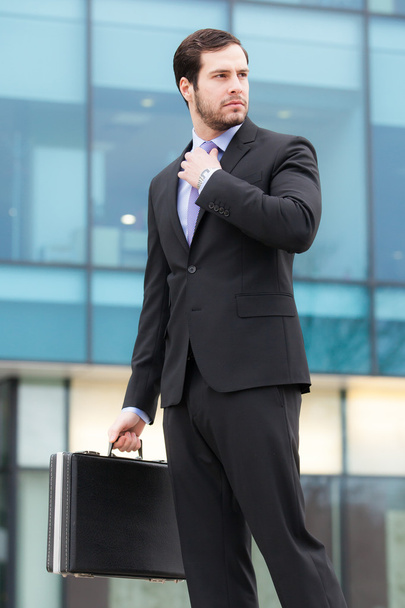 handsome businessman with a briefcase - 写真・画像