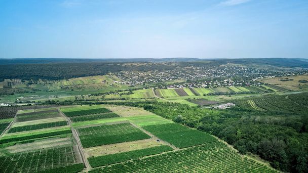 Panorama shot of nature of Moldova, vineyards, hills, fields, village in the distance - Photo, Image