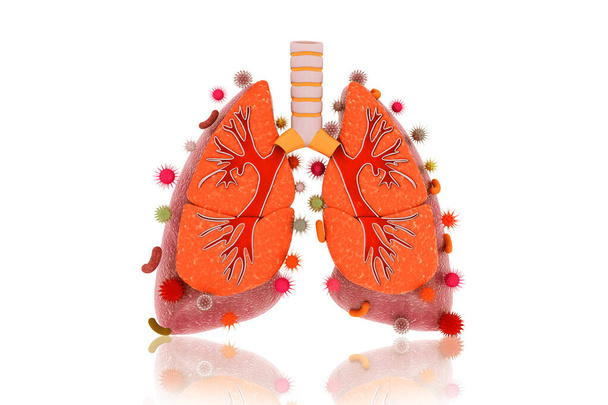 Virus e batteri hanno infettato i polmoni umani. malattia polmonare.3d rendering - Foto, immagini