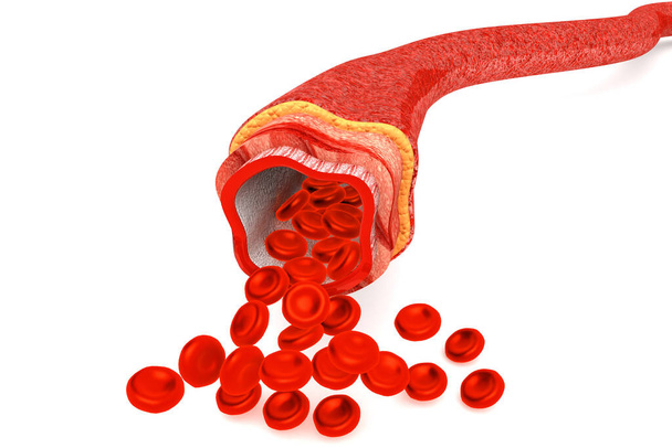 Células sanguíneas en una arteria. - Foto, Imagen