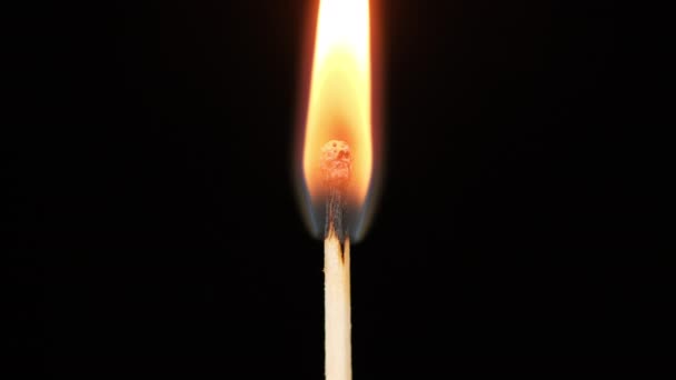 burning match on a black background, slowly burns out, macro - Footage, Video