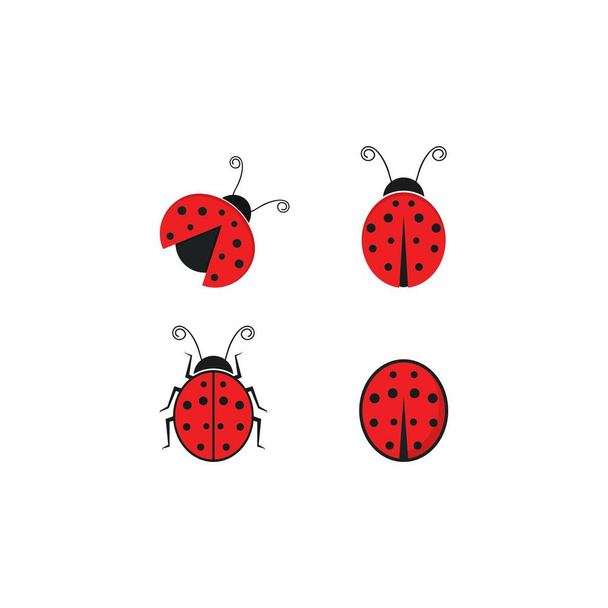 Ladybug logo vector icon illustration design  - Wektor, obraz