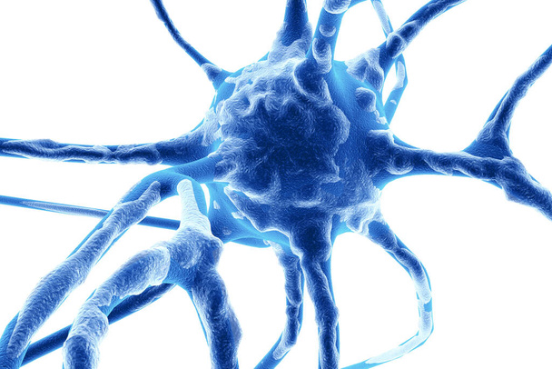 Nervenzellen auf weißem Hintergrund  - Foto, Bild
