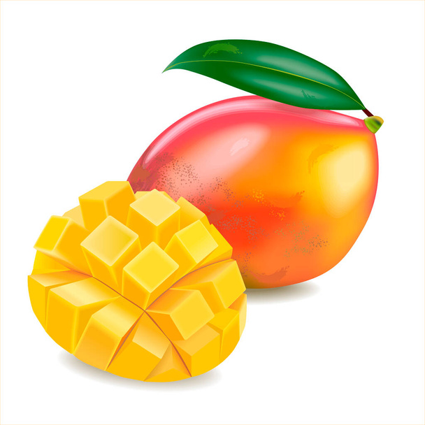 Dojrzałe mango i mango plasterek z kostek izolowane białe tło. Realistyczna ilustracja wektora. - Wektor, obraz