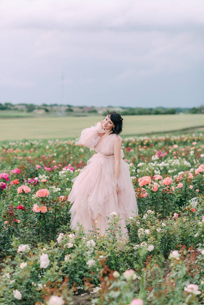 Girl in a pink dress on a field of roses - Fotó, kép