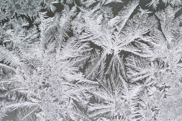 Ice crystals on window glass - Photo, Image