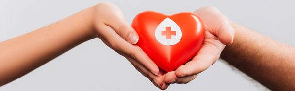 visão cortada de homem e mulheres segurando coração vermelho isolado em branco, conceito de doação de sangue
 - Foto, Imagem