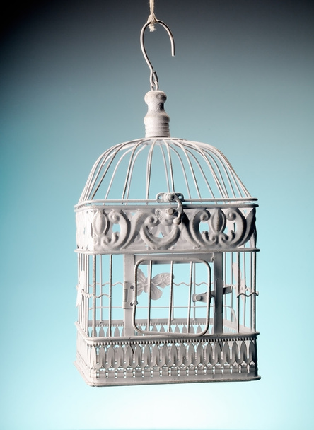 vieille cage baroque
 - Photo, image