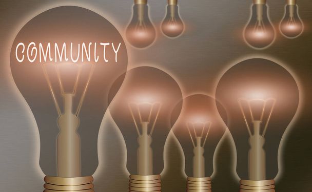 Text sign showing Community. Conceptual photo group of showing with a common characteristics living together Realistic colored vintage light bulbs, idea sign solution thinking concept. - Photo, Image