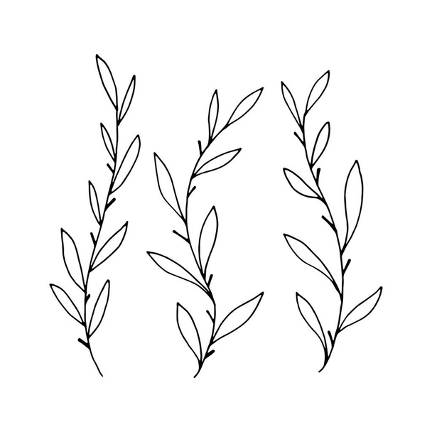 A set of hand-drawn leaf twigs. - ベクター画像
