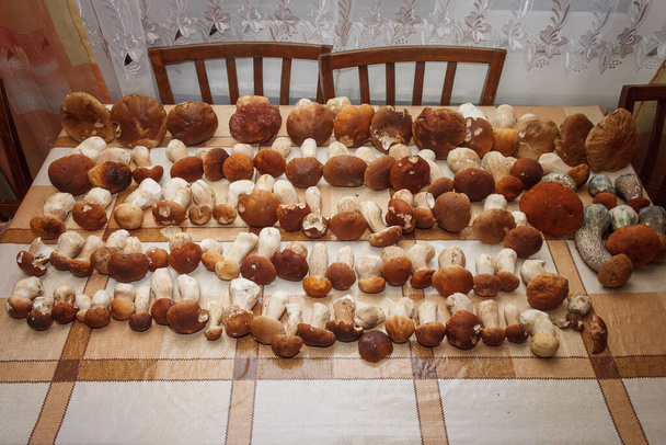 Nalezeny houby položené na stole. - Fotografie, Obrázek