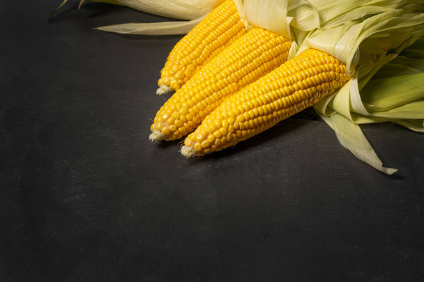 Ripe young sweet corn cob with leaves on dark concrete background, copy space. - 写真・画像