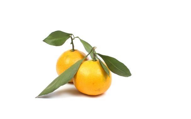 Mandarina madura
 - Foto, Imagen