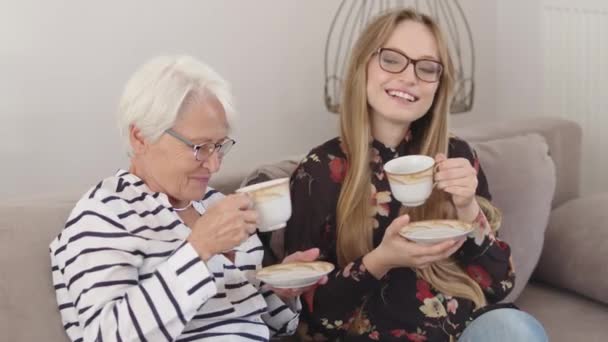 Vacaciones en familia. Madre e hija o abuela y nieta tomando el té juntos  - Imágenes, Vídeo