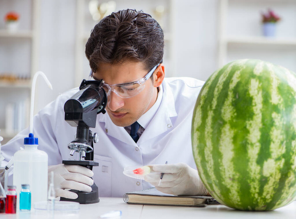 Wetenschapper test watermeloen in het lab - Foto, afbeelding