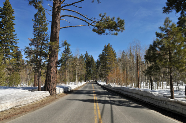 Winter road - Photo, Image