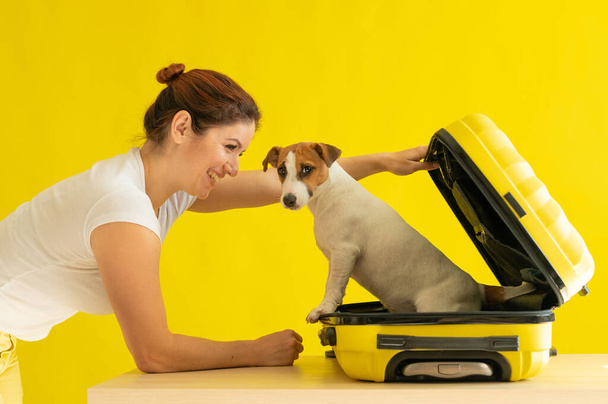 Happy woman holds an open suitcase with a dog inside on a yellow background. Jack Russell Terrier puppy is sitting in a luggage bag and is ready to travel. Smiling girl. - 写真・画像