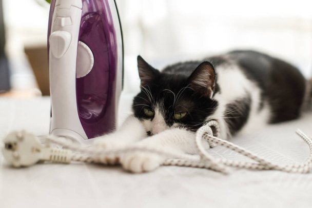 Gato preguiçoso adorável dormindo no ferro no tecido moderno. Gato preto e branco bonito relaxante na tábua de engomar no quarto elegante, momento acolhedor. Um ajudante em casa. Conceito de lavandaria e limpeza
 - Foto, Imagem