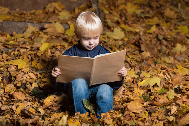 Menino loiro lendo livro na floresta de outono sentado em folhas caídas. Retrato
 - Foto, Imagem