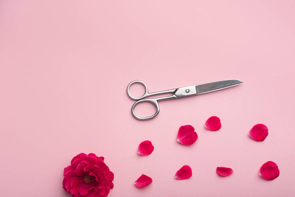 Rose, scissors and red flower petals on pink background. Copy space. - Photo, image